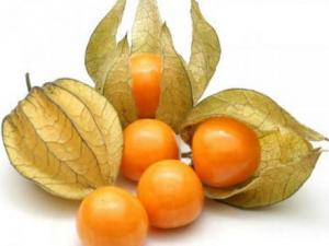 Escasez de aguaymanto en Estados Unidos