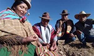 Escasez de alimentos en Puno por sequía