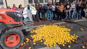 España: manifestación histórica para “defender” que los agricultores y ganaderos puedan vivir dignamente