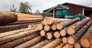 Especialistas y empresarios del sector forestal discuten mecanismos transparentes para garantizar origen legal de la madera