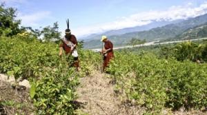 Establecen el primer Bosque Local en Mazán para promover producción forestal legal