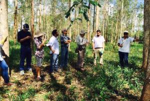 Estado y empresa privada deben trabajar juntos para invertir en reforestación