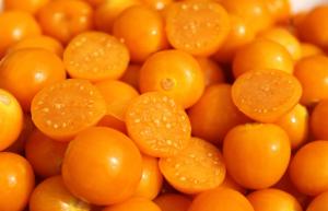 Estados Unidos intentará producir su propio aguaymanto