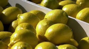 Estados Unidos muestra su espíritu proteccionista y frena la importación de limones argentinos y aguacates mexicanos