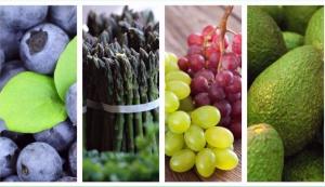 Estados Unidos y Países Bajos adquirieron el 50% de las agroexportaciones peruanas en 201<span class='highlight'>9</span>