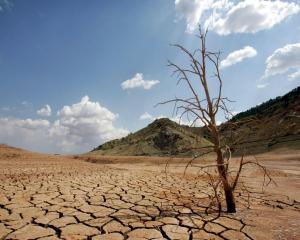 ESTRATEGIA NACIONAL DE LUCHA CONTRA LA DESERTIFICACIÓN Y SEQUÍA SE CONOCERÁ EN FEBRERO