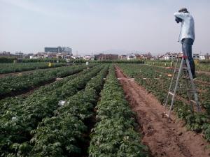 Estudiantes de agronomía podrán acceder a beca para taller de “Detección de estrés temprano en los cultivos a través de cámaras térmicas”