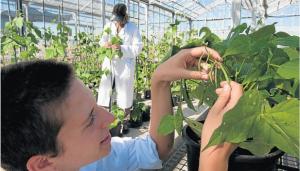 Estudiantes y profesores de la Facultad de Agronomía de la UNALM  presentaron 26 trabajos de investigación