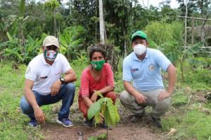Etnia awajún registra 130 hectáreas de cacao en distrito de El Cenepa