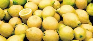 Europa, un competitivo mercado para la exportación de limones