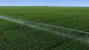 Existe un proceso de concentración de tierras impulsado por las irrigaciones