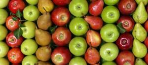 Existencias de manzanas europeas se situaron en 2.935.962 toneladas al 1 de marzo, mostrando un aumento de 8.6%