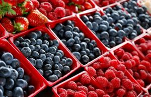 Expertos analizarán  perspectivas de los berries peruanos a nivel mundial