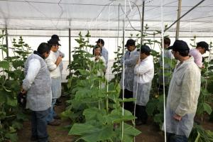 Expertos internacionales coinciden en necesidad de potenciar la investigación en el agro