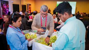 Expo Perú Sur 2025 generó más de US$ 26 millones en oportunidades de negocio