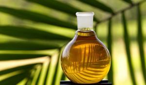 Exportación de aceite de palma refinada llega a valores de US$ 9.3 millones durante los primeros ocho meses del año