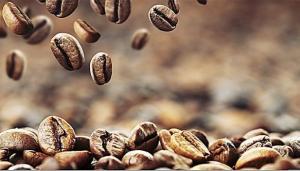 Exportación de café creció 25% en 2016 al sumar más de US$ 757 millones