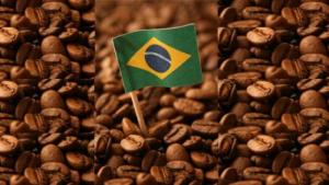 Exportación de café en grano de Brasil cayó 27.3% en volumen y 13% en valor