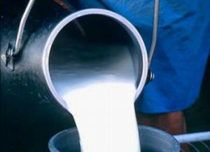 EXPORTACIÓN DE LECHE EVAPORADA CRECIÓ EN 11% EN LO QUE VA DEL AÑO