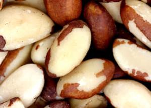 EXPORTACIÓN DE NUECES DE BRASIL SUBIERON 41%