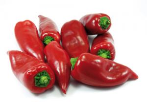 EXPORTACIÓN DE PIMIENTO PIQUILLO CRECIÓ 67% DURANTE ENERO – JULIO DEL 2015