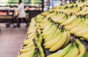 Exportación de plátanos superó los US$ 42 millones durante el primer trimestre
