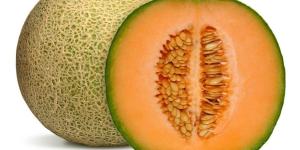 Exportación de semillas de melón llega a US$ 16.8 millones entre enero y septiembre
