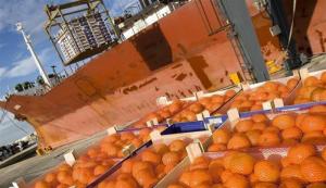 Exportación peruana de mandarina disminuyó -4% en volumen al 26 de junio de 2023