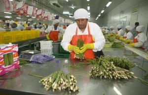 EXPORTACIONES AGRARIAS DISMINUYERON 2.14%