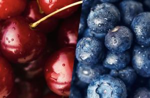 Exportaciones chilenas de frutas alcanzaron las 3.2 millones de toneladas por US$ 8.021 millones en 2023