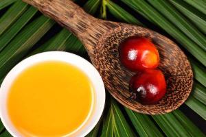 Exportaciones de aceite de palma refinada mostrarán importante crecimiento al cierre del 2017