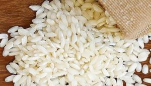 Exportaciones de arroz se disparan durante el primer bimestre