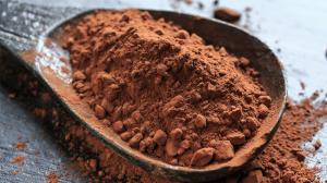 Exportaciones de cacao en polvo sumaron US$ 3.7 millones entre enero y julio de este año