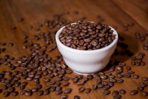 Exportaciones de café en grano sumaron US$ 295 millones entre enero y agosto