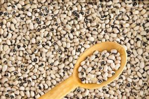 Exportaciones de frijol castilla alcanzaron valores de US$ 1.8 millones durante el primer trimestre