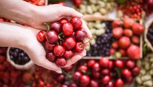Exportaciones de fruta fresca de Chile caen en valor 10% en el 2020
