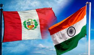 Exportaciones de fruta peruana a India sufrieron significativas contracciones en 2020