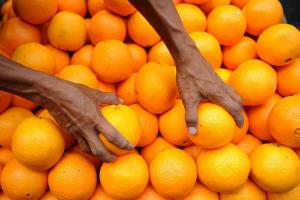 Exportaciones de fruta sudafricanas siguen con su tendencia alcista en 2022