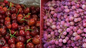 Exportaciones de frutas chilenas se están desplazando de la UE y Norteamérica al sudeste asiático y Sudamérica