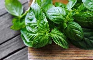 Exportaciones de legumbres y hortalizas secas sumaron US$ 2.5 millones