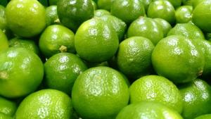 Exportaciones de limón sutil llegan a US$ 1.4 millones entre enero y julio de 2020