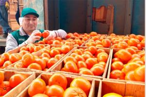 Exportaciones de mandarina crecen 29% en volumen y 32% en valor hasta la quincena de septiembre