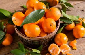 Exportaciones de mandarinas alcanzaron valores de US$ 7.8 millones durante el primer cuatrimestre