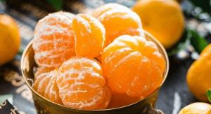 Exportaciones de mandarinas procesadas alcanzaron las 14.483 toneladas por US$ 26 millones en 2021