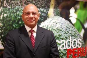 EXPORTACIONES DE PALTA HASS LLEGARÁN A 90 MIL TM EN 2012