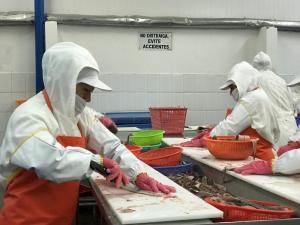 Exportaciones de pesca para consumo humano directo sumaron US$ 1.483 millones en 2021, mostrando un crecimiento de 17%