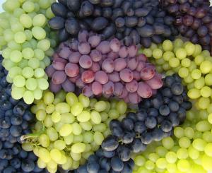 Exportaciones de uvas de mesa de Chile crecerán 29.3% en la temporada 2021/2022
