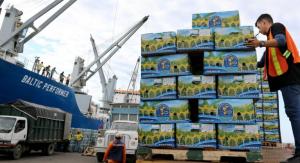 Exportaciones ecuatorianas de banano crecen +6.70% en volumen hasta agosto del 2023