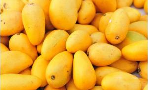 Exportaciones ecuatorianas de mango alcanzan las 14.4 millones de cajas en 2022, mostrando un aumento de 4%