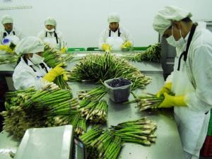 EXPORTACIONES LAMBAYECANAS DEL SECTOR NO TRADICIONAL CRECIERON 40.13%